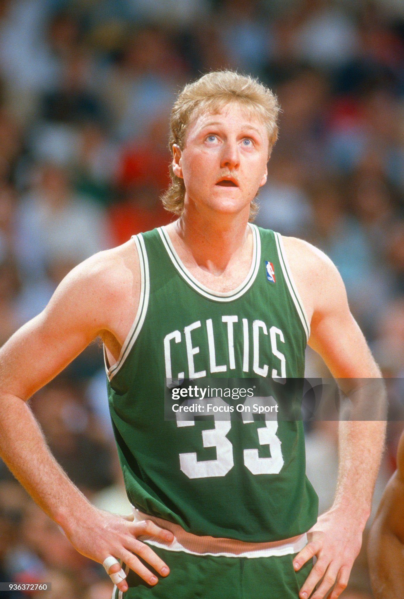 Boston Celtics Larry Bird 1986-1988 NBA Basketball Jersey (40/Medium)