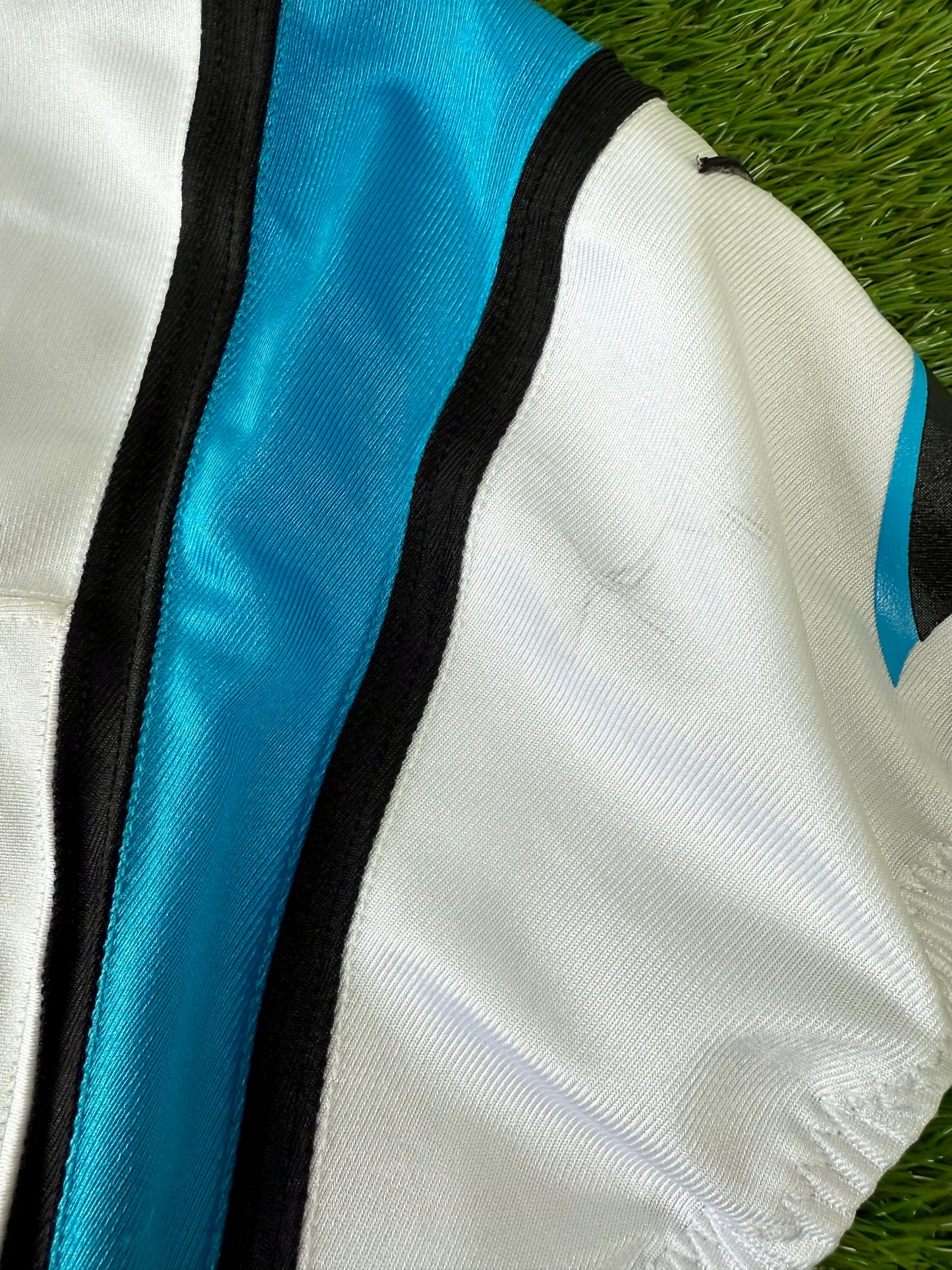 Carolina Panthers 2013 Cam Newton NFL Football Jersey (44/Large)