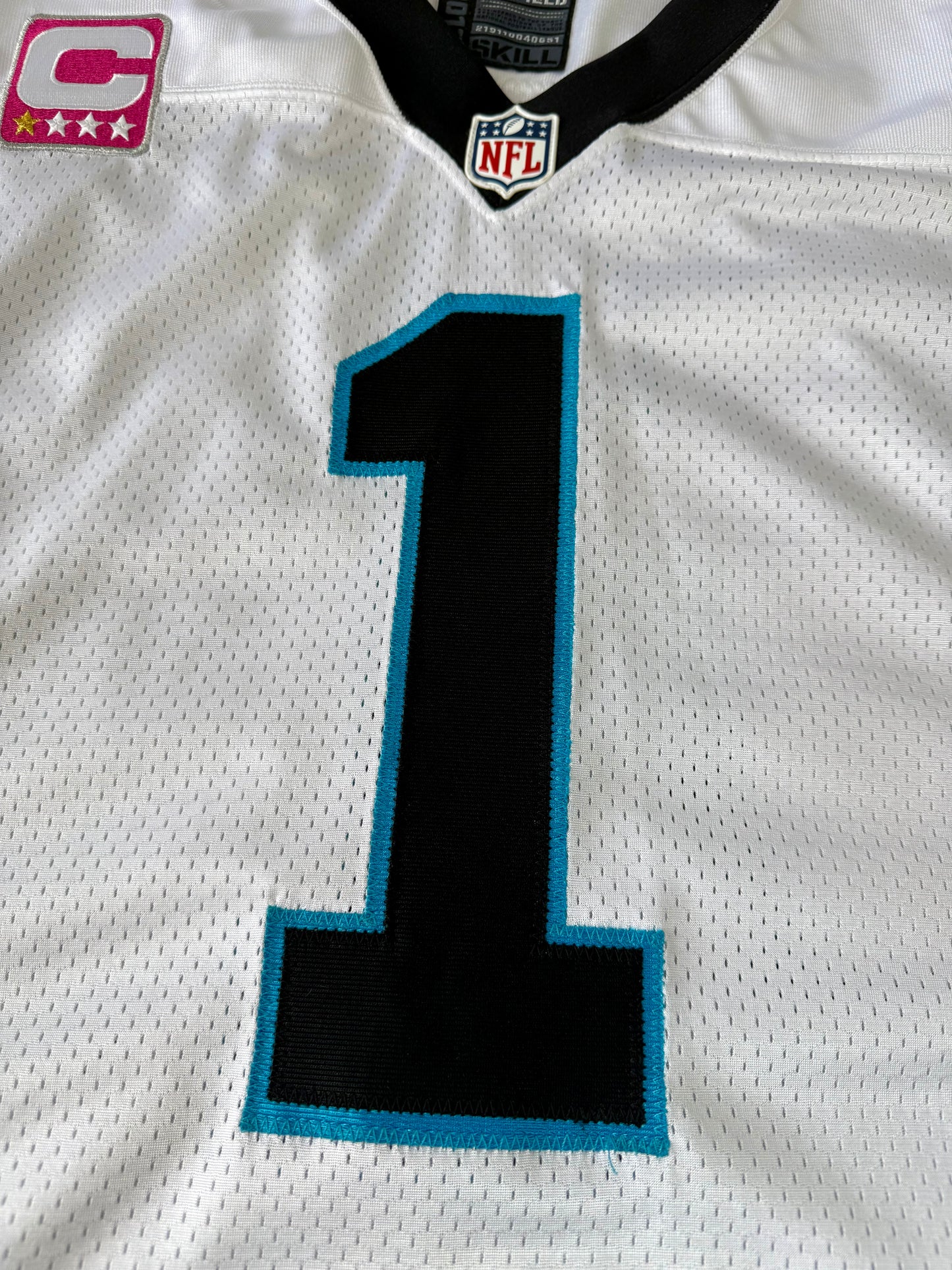 Carolina Panthers 2013 Cam Newton NFL Football Jersey (44/Large)