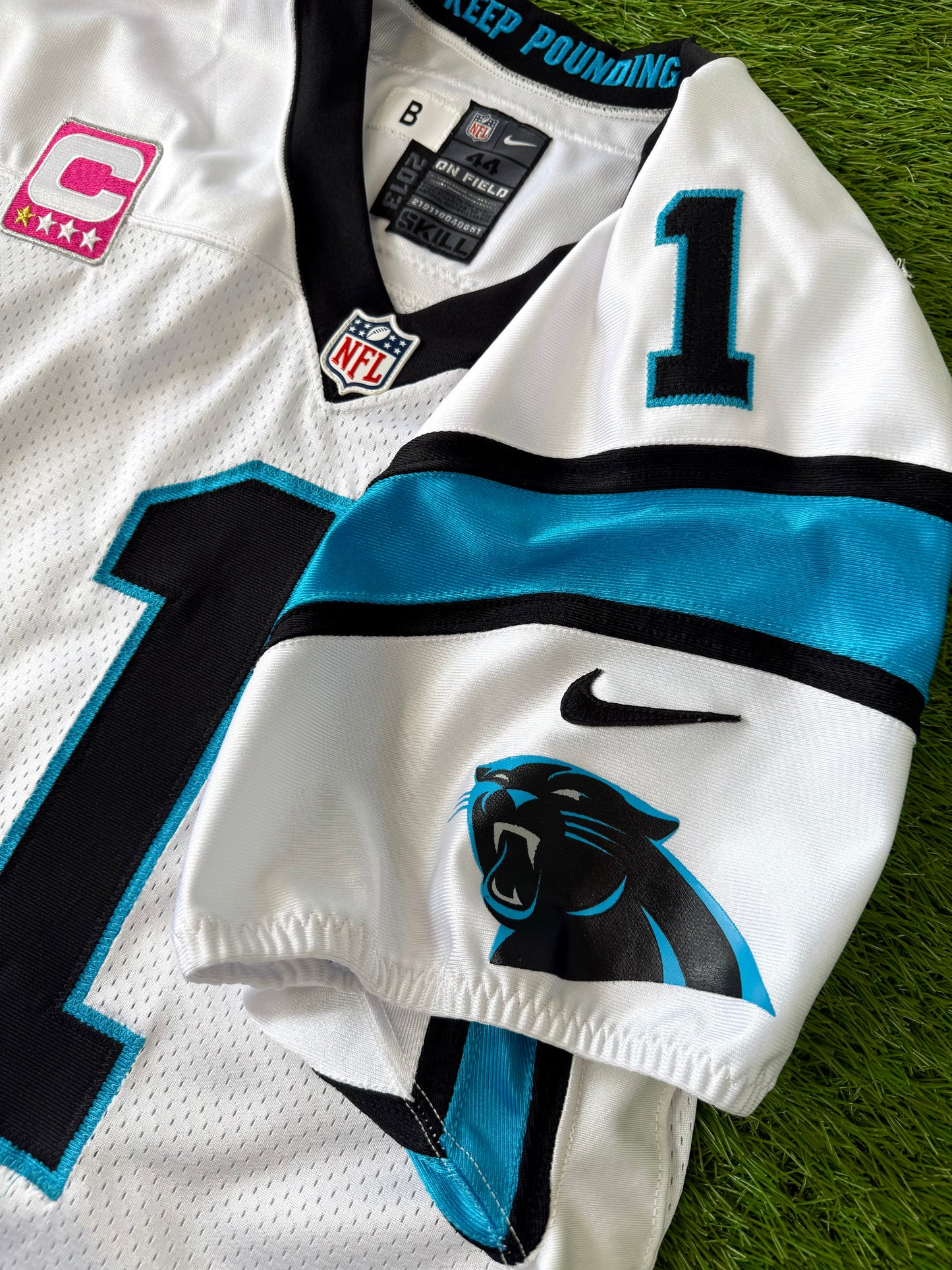 Carolina Panthers 2013 Cam Newton NFL Football Jersey (44/Large)