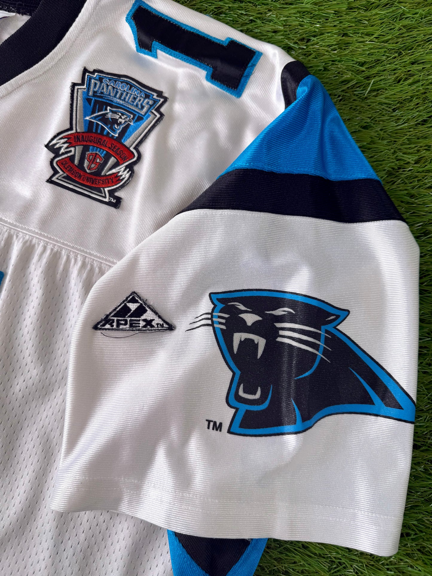 Carolina Panthers Frank Reich 1995 Preseason NFL Football Jersey (XL)