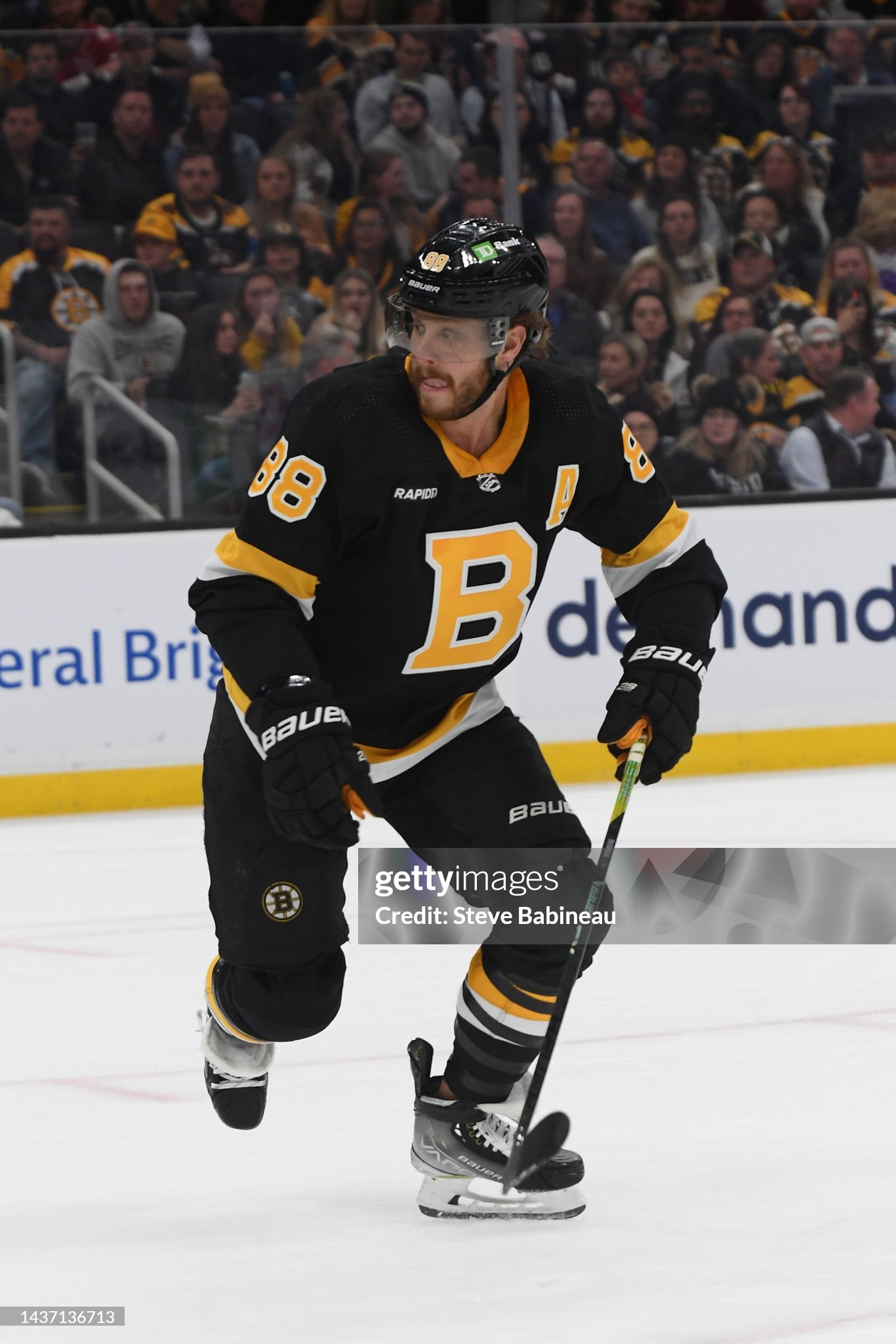 Boston Bruins David Pastrnak 2022-2023 Alternate NHL Hockey Jersey (56/XXL)