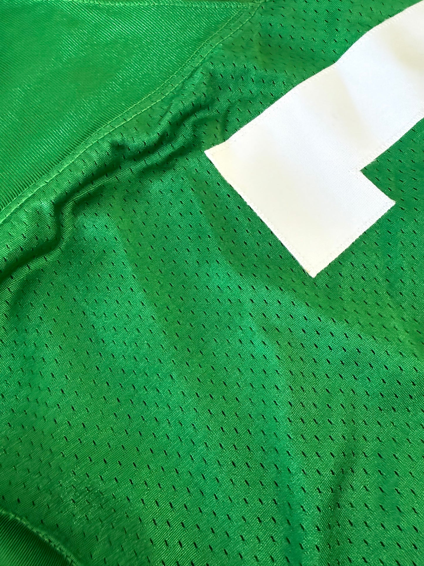 Philadelphia Eagles Michael Vick 2010 Kelly Green Throwback NFL Football Jersey (44/Large)