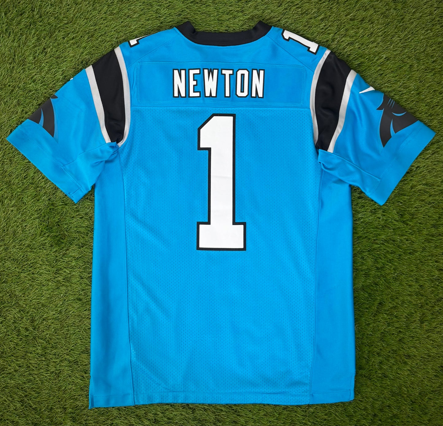 Carolina Panthers Cam Newton 2015 Alternate NFL Football Jersey (44/Large)