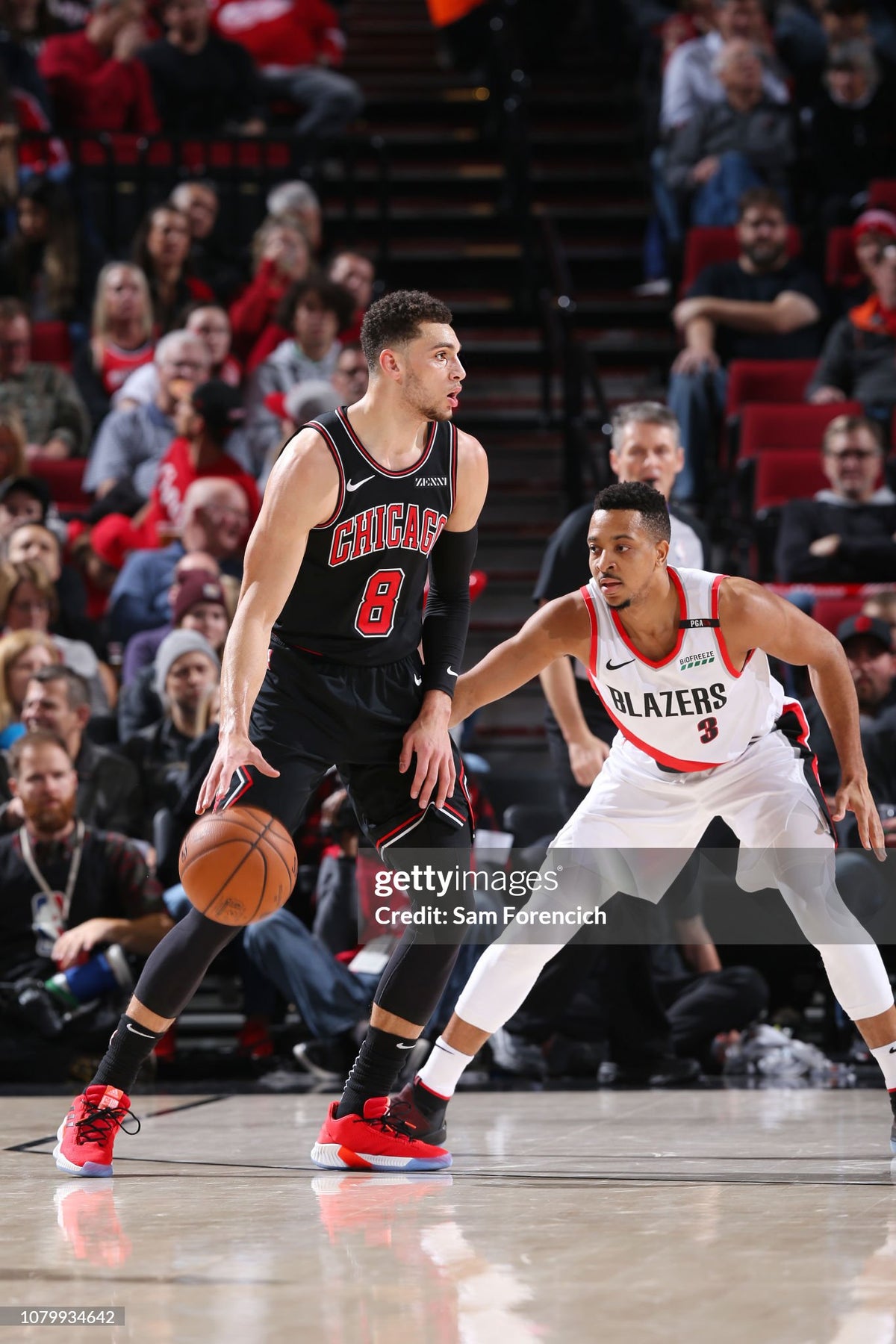 Chicago Bulls Zach LaVine 2018-2019 NBA Basketball Jersey (50/XL)