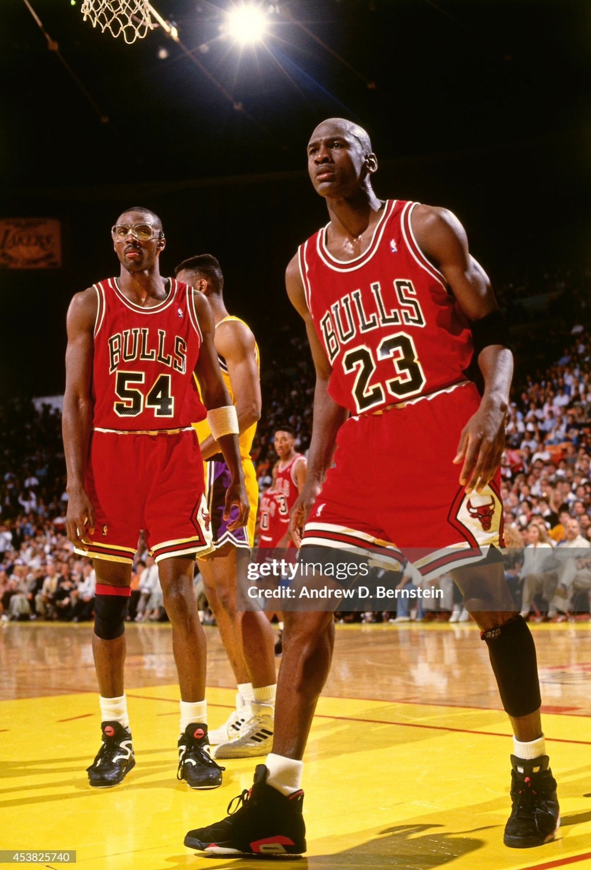 Chicago Bulls Michael Jordan 1991-1992 NBA Basketball Jersey (44/Large)
