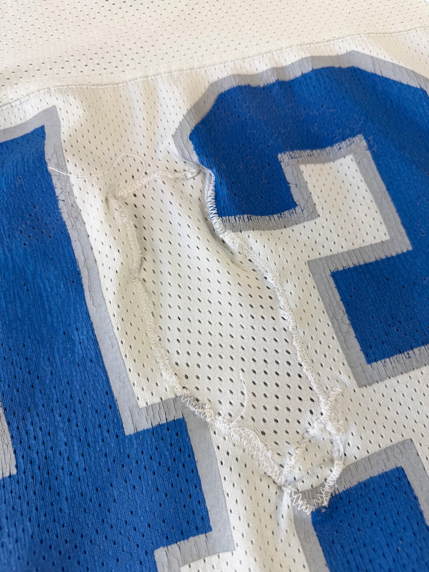 Detroit Lions Jerry Holmes Game Worn Jersey 1988-1989 NFL Football Jersey (40/Medium)