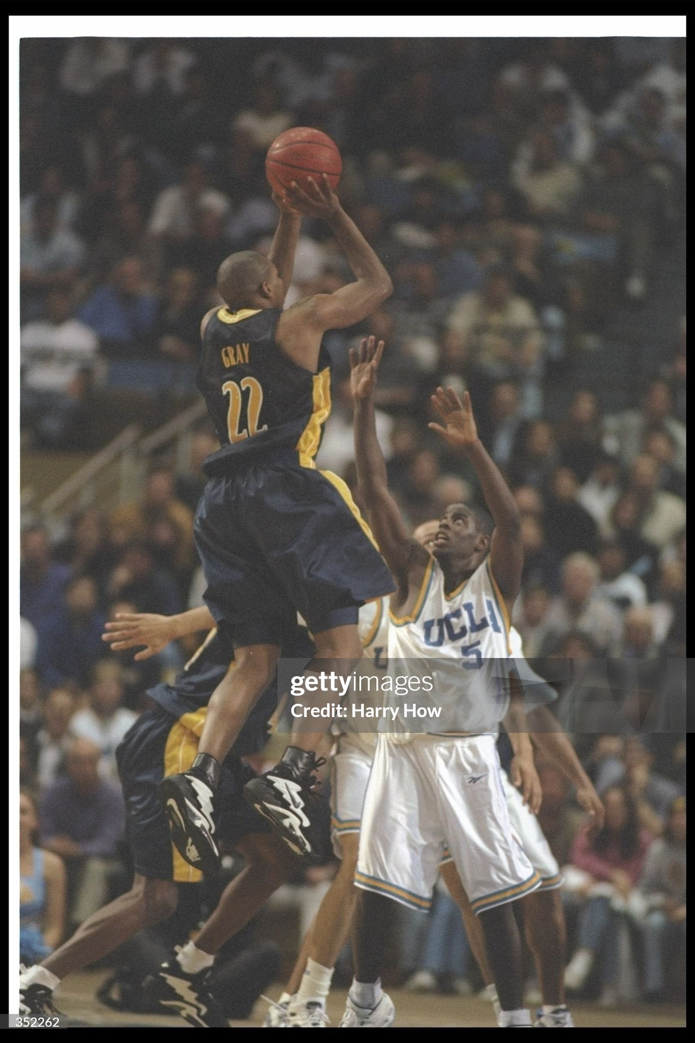 University of California Golden Bears Ed Gray 1996-1997 College Basketball Jersey (44/Large)