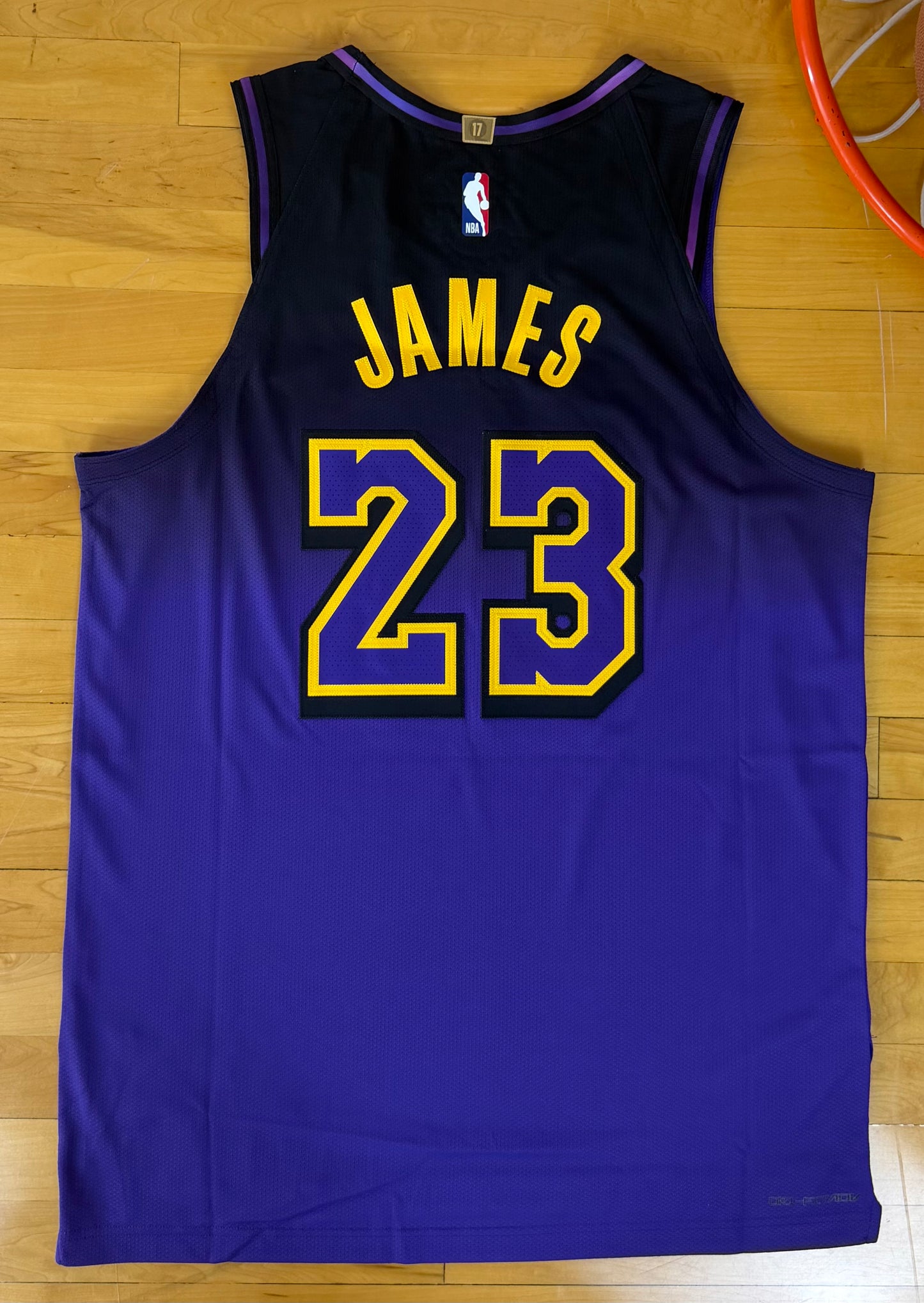 Los Angeles Lakers LeBron James 2024-2025 City Edition NBA Basketball Jersey (48/Large)