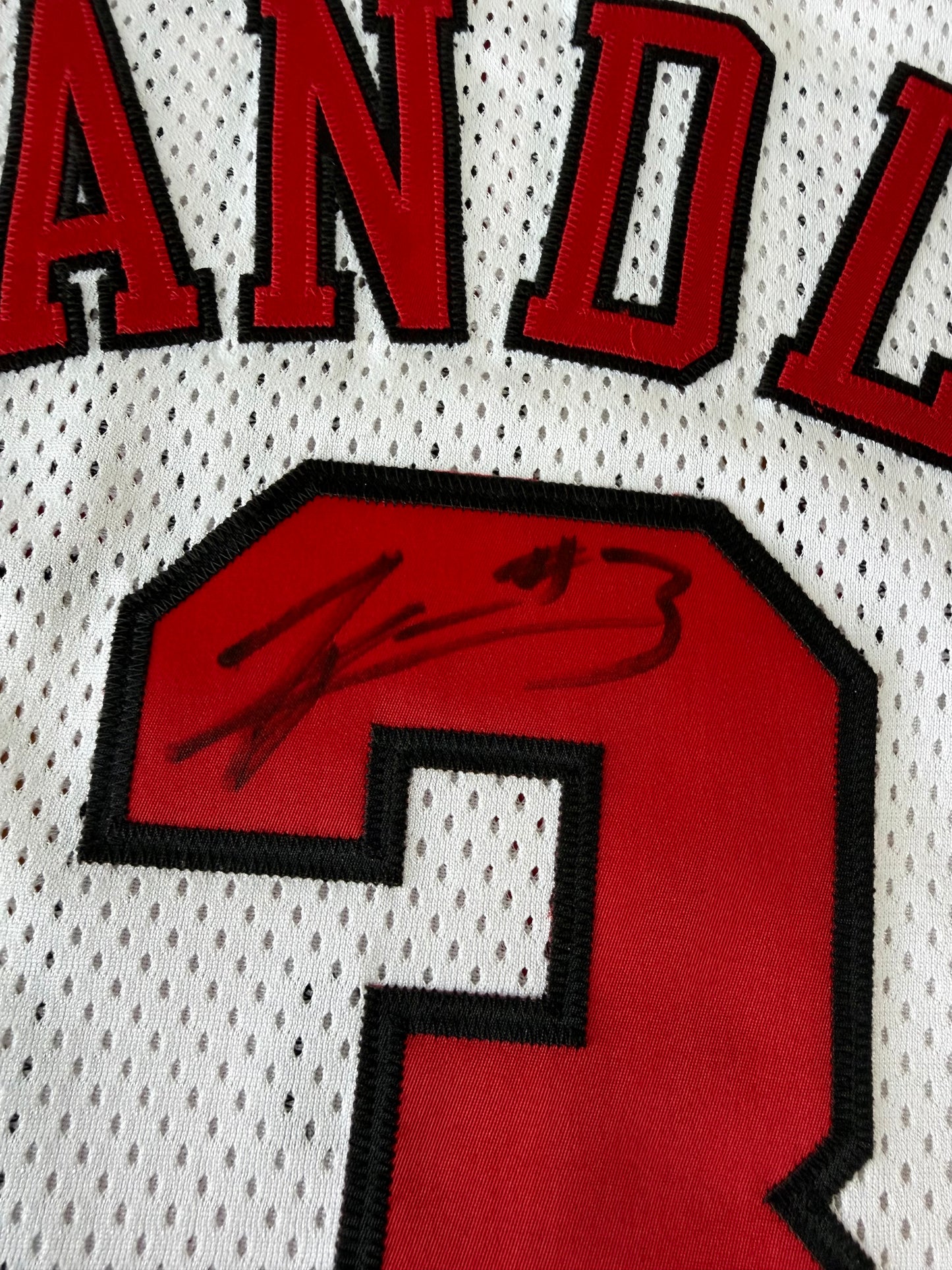 Chicago Bulls Tyson Chandler 2001-2002 Game Issued NBA Basketball Jersey (54/XXL)