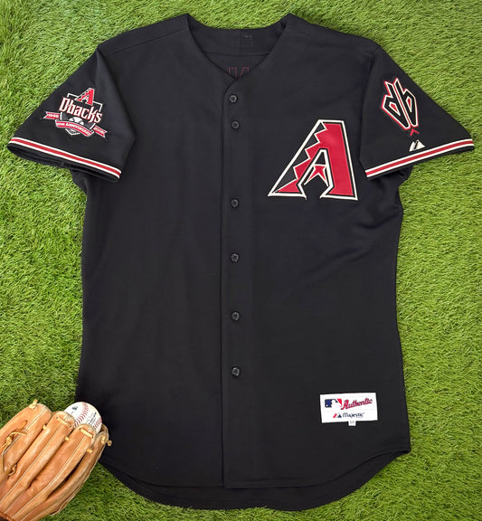 Arizona Diamondbacks Randy Johnson 2008 MLB Baseball Jersey (48/XL)