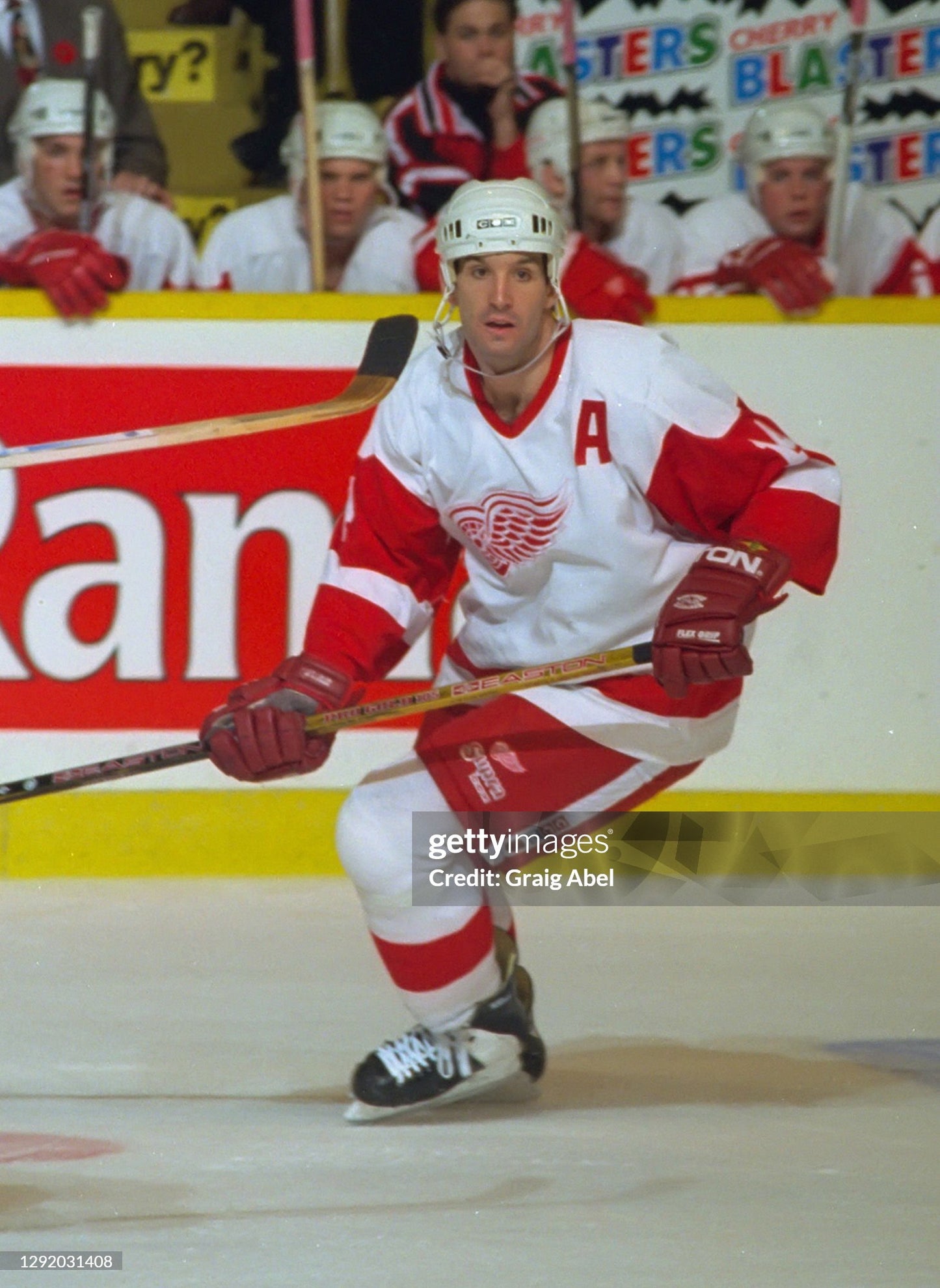 Detroit Red Wings 1996-1999 Brendan Shanahan NHL Hockey Jersey (52/XL)