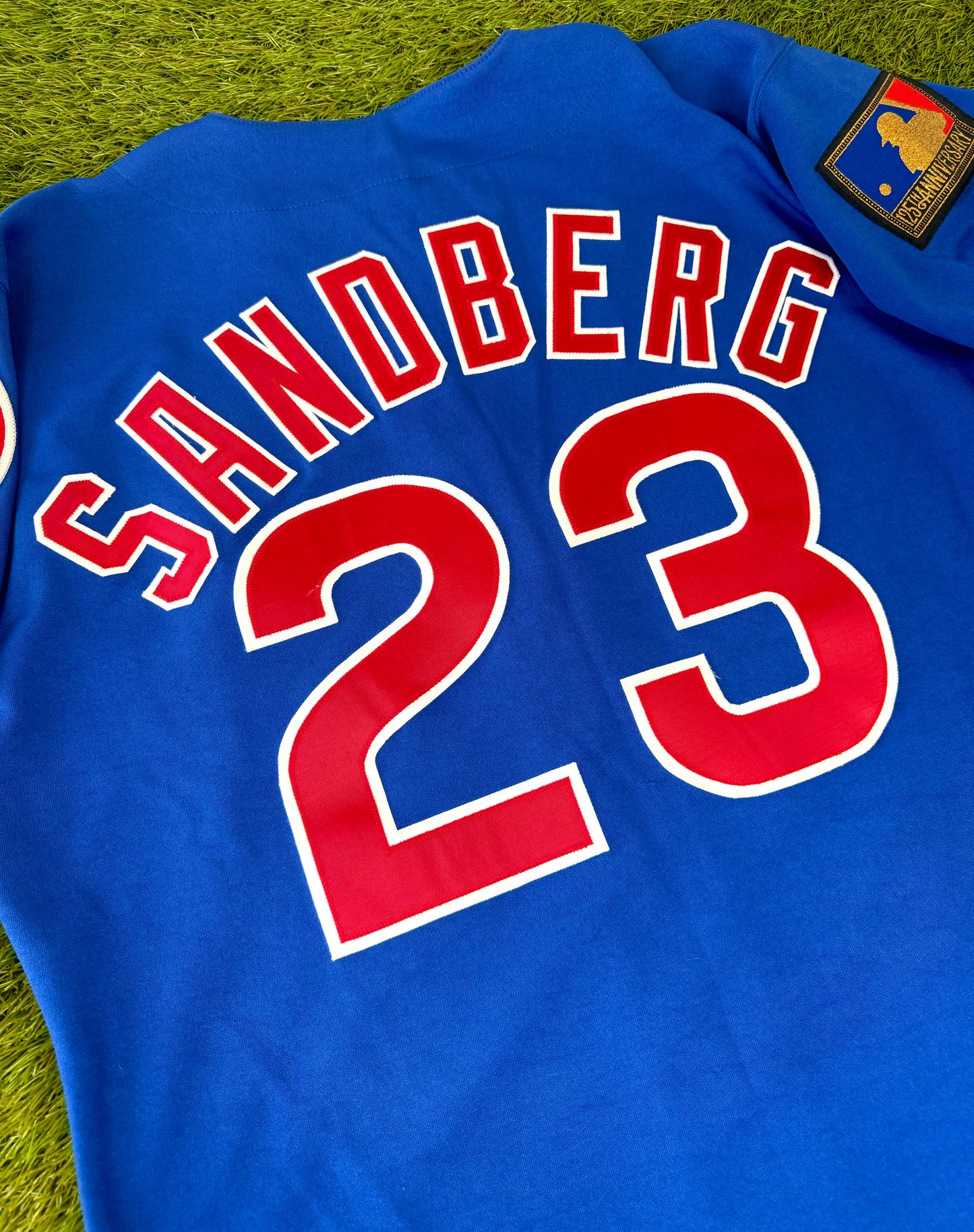 Chicago Cubs Ryne Sandberg 1994 Blue Alternate MLB Baseball Jersey (44/Large)