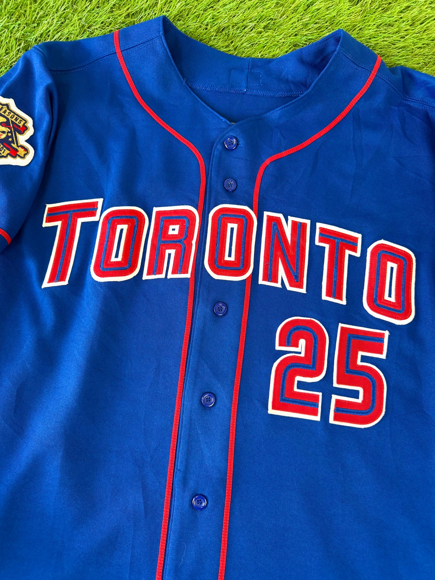 Toronto Blue Jays Carlos Delgado 2001 Alternate MLB Baseball Jersey (48/XL)