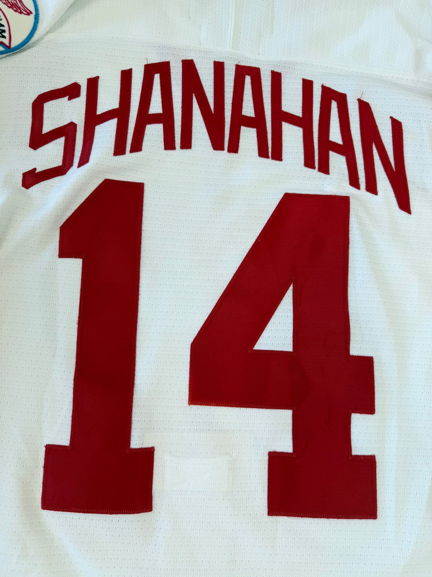 Detroit Red Wings Brendan Shanahan 1998 Stanley Cup Finals NHL Hockey Jersey (44/Small)