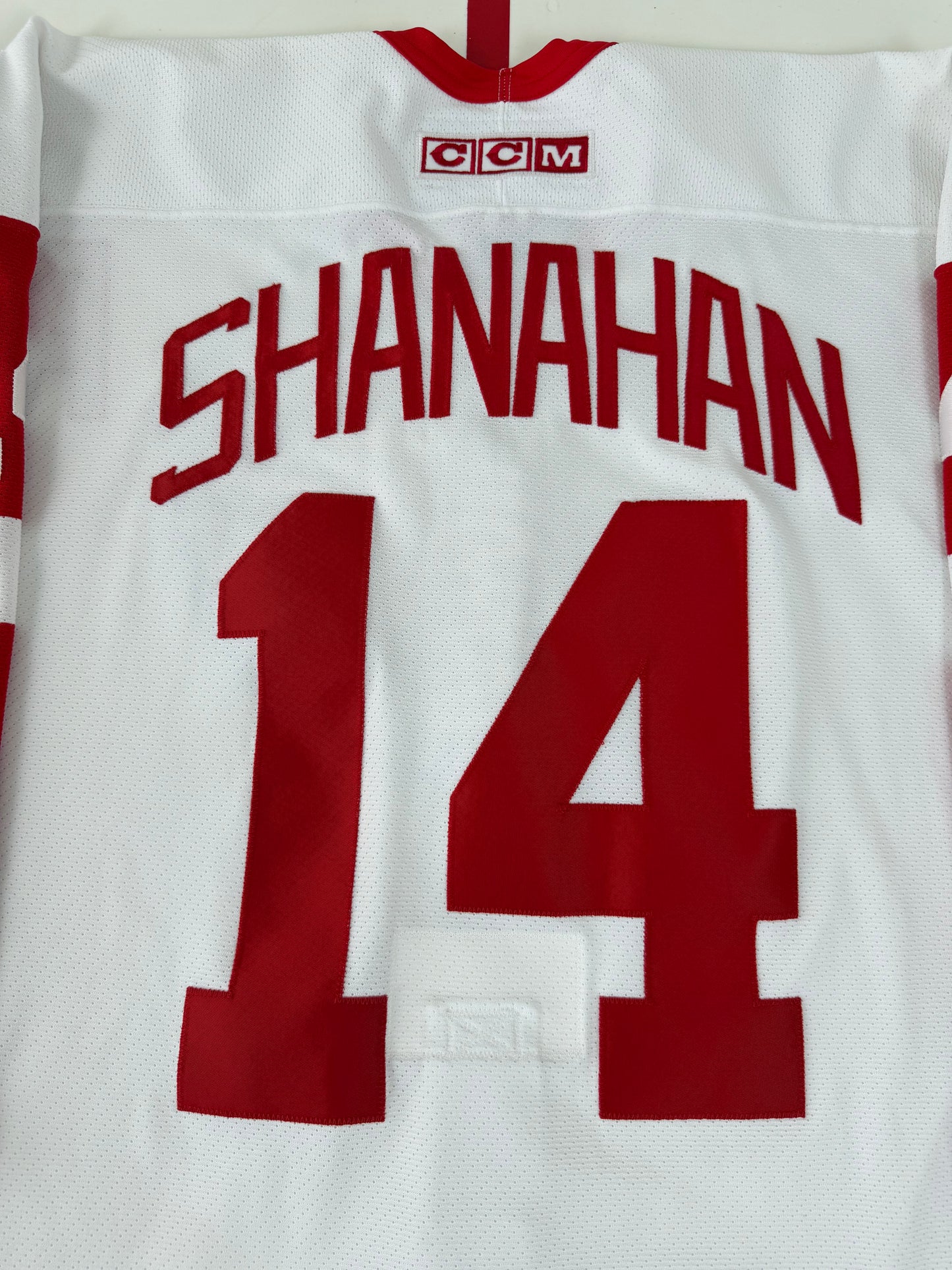 Detroit Red Wings Brendan Shanahan 2002 Stanley Cup Finals NHL Hockey Jersey (52/XL)