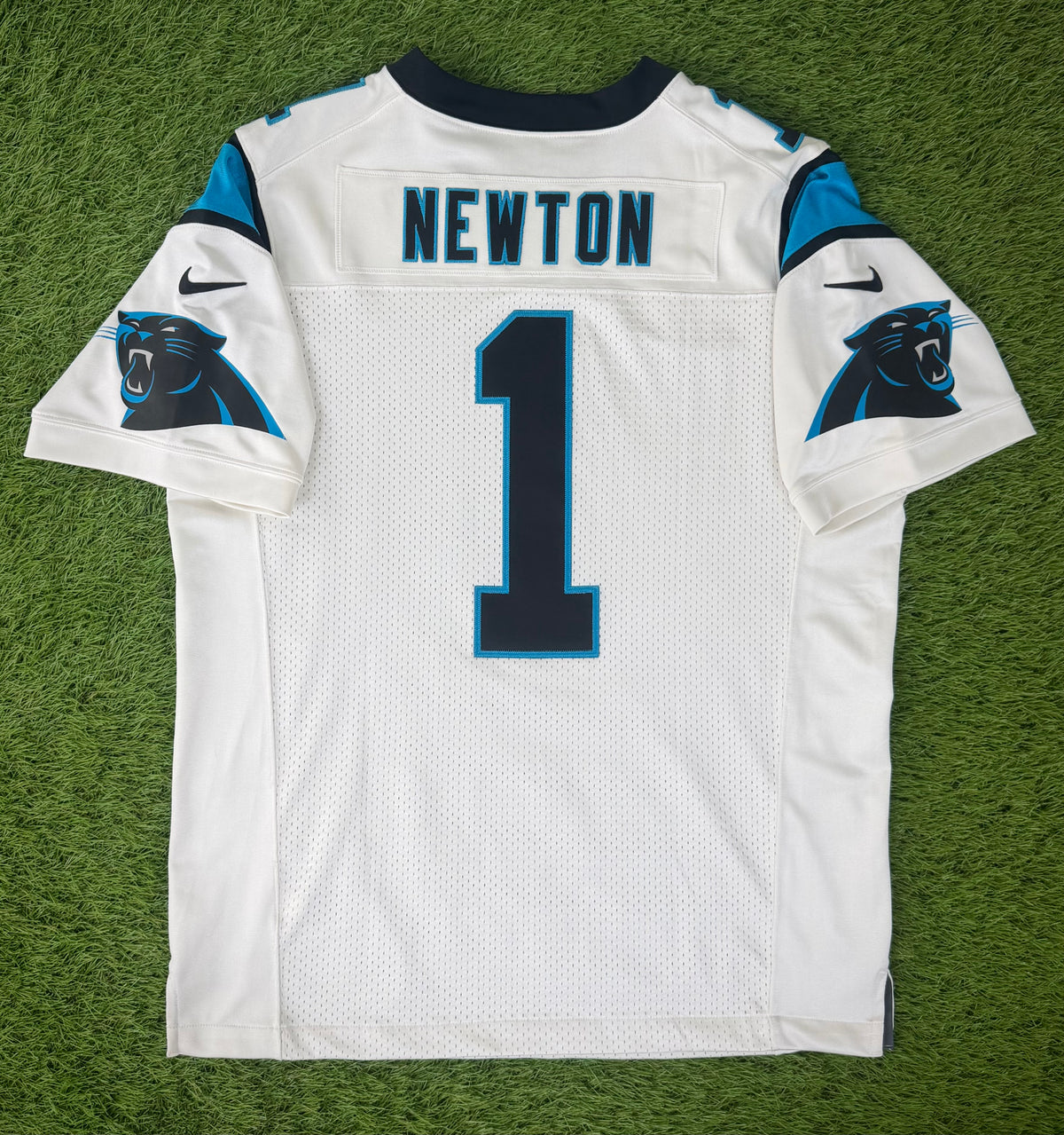 Carolina Panthers Cam Newton 2015 NFL Football Jersey (48/XL)