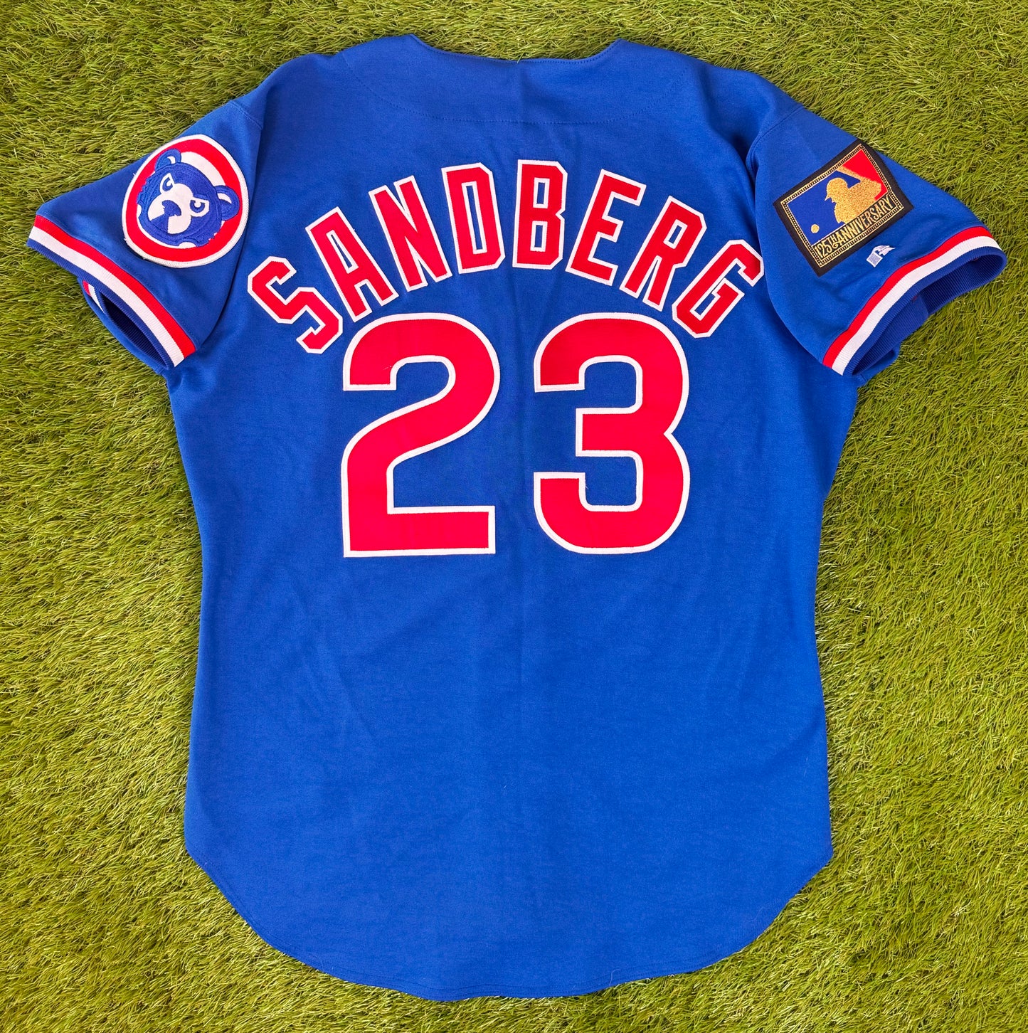 Chicago Cubs Ryne Sandberg 1994 Blue Alternate MLB Baseball Jersey (44/Large)