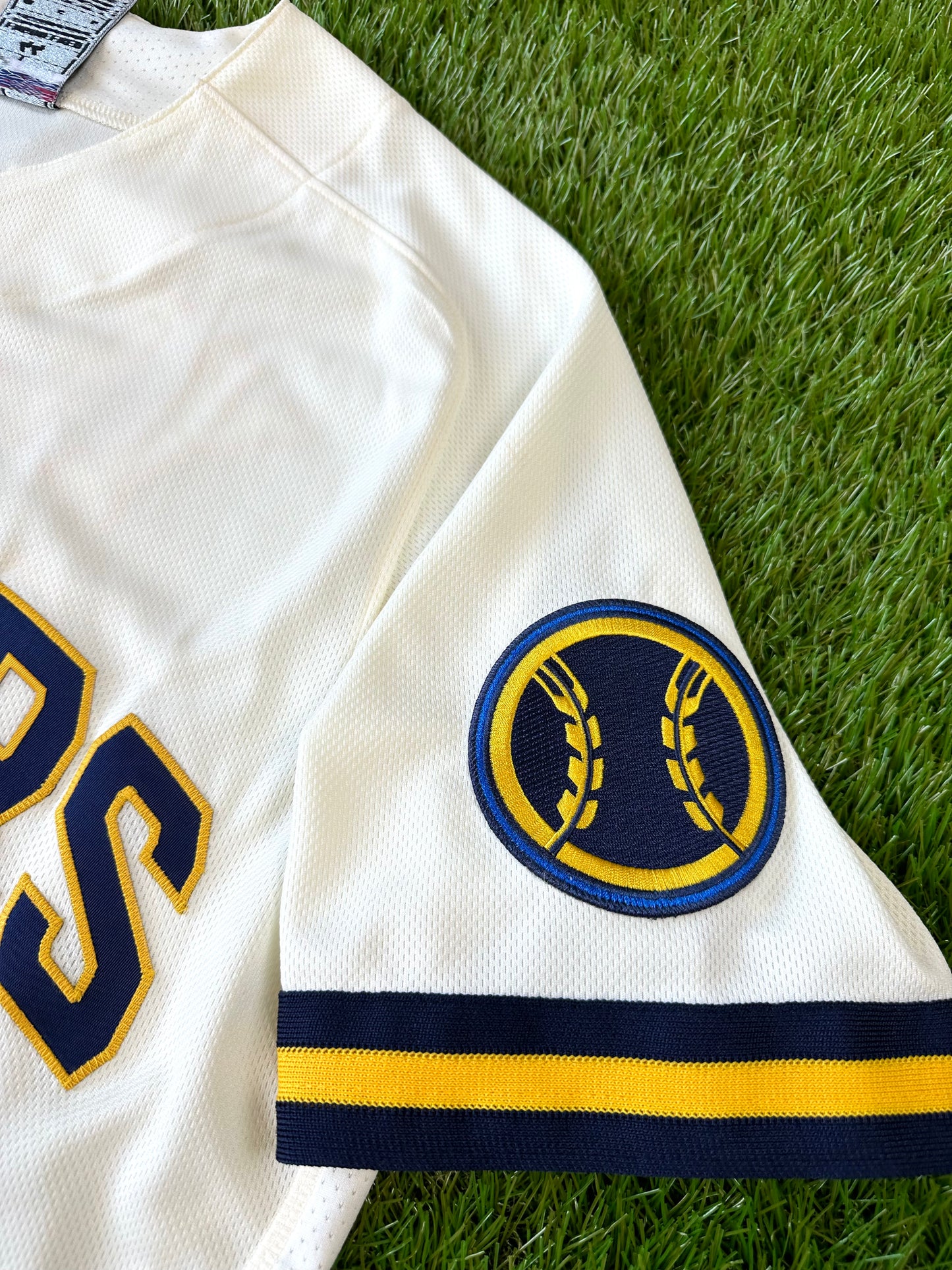 Milwaukee Brewers 2020 Christian Yelich MLB Baseball Jersey (44/Large)