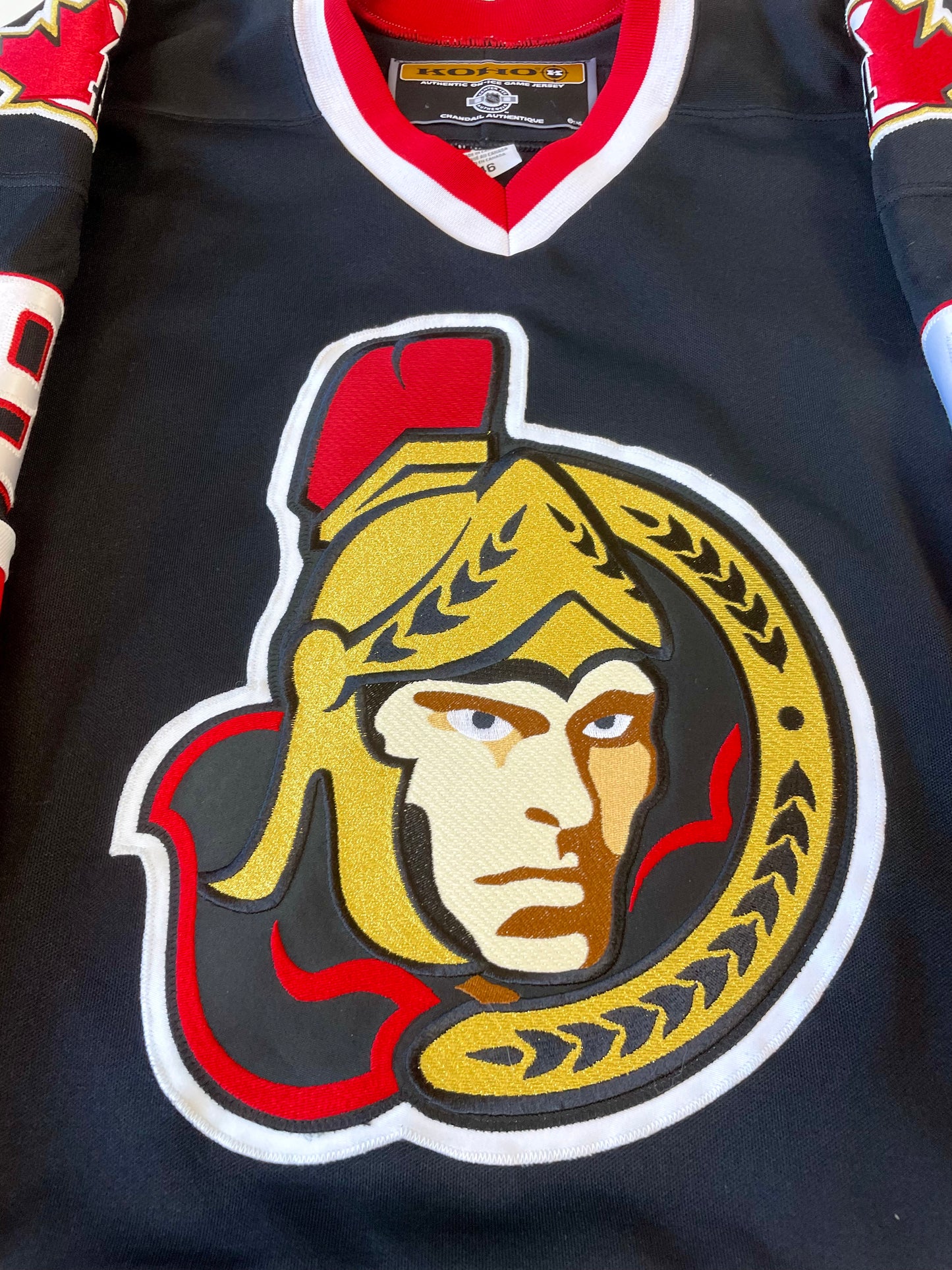 Ottawa Senators 2000-2004 Martin Havlat Hockey Jersey (46/Medium) – Grail  Snipes